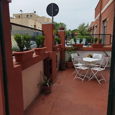Cincinnato 49 *